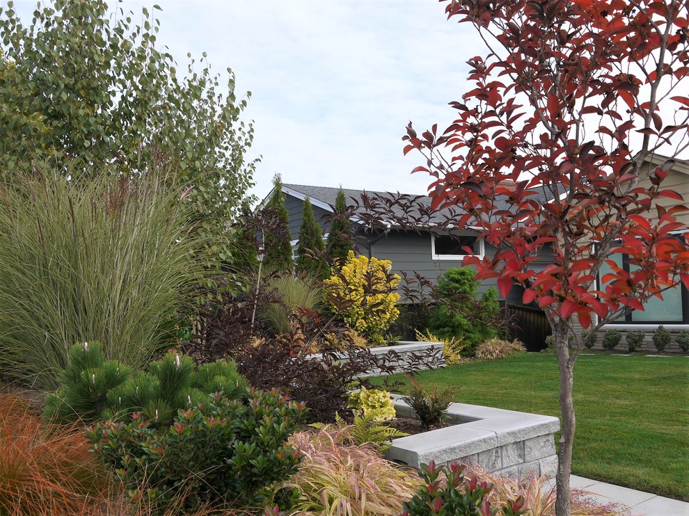 Foto di un giardino contemporaneo esposto in pieno sole di medie dimensioni e davanti casa in autunno con un muro di contenimento e pavimentazioni in cemento