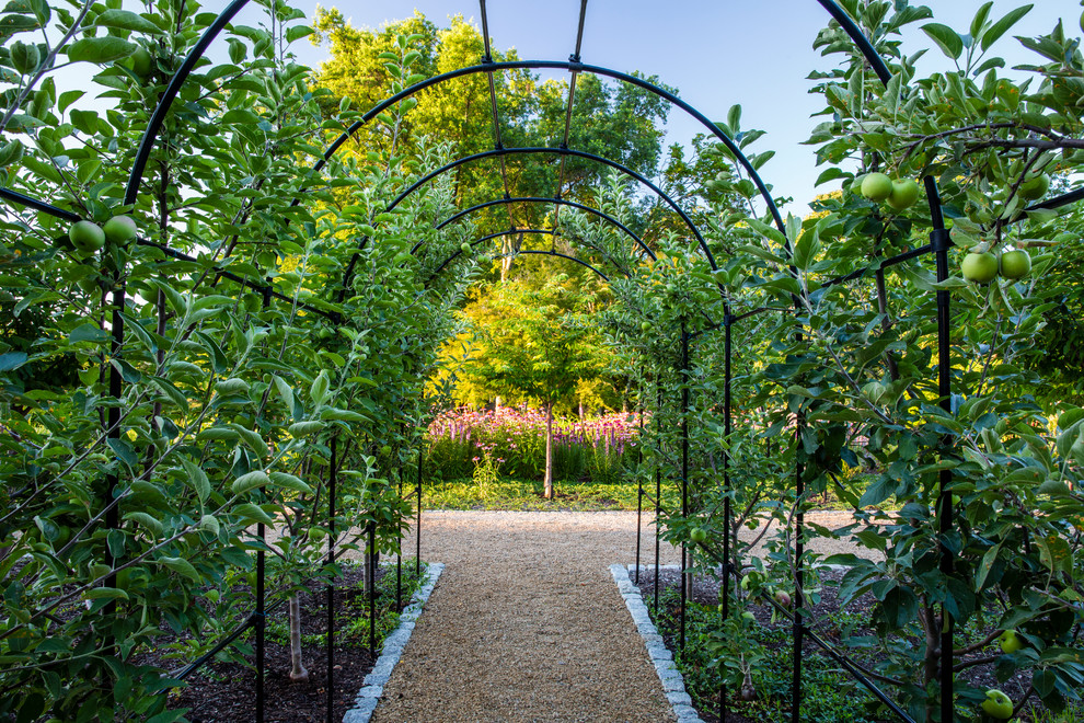 Exemple d'un grand jardin potager arrière chic l'été avec une exposition ensoleillée et du gravier.