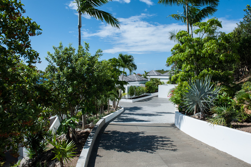 This is an example of a tropical front yard driveway in Other.