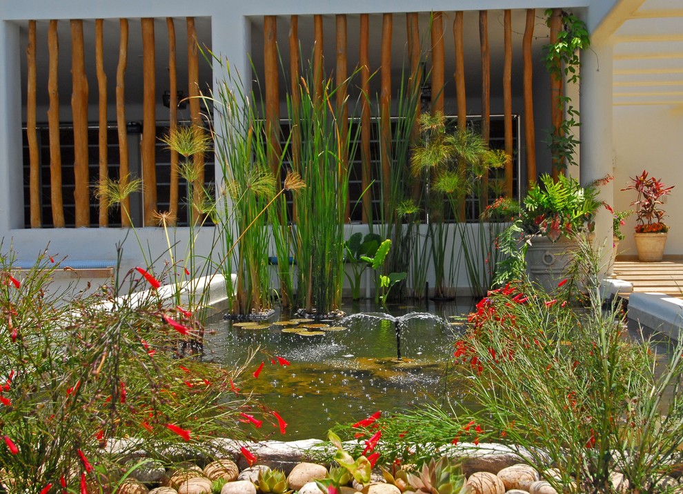 Design ideas for a bohemian garden in Mexico City.