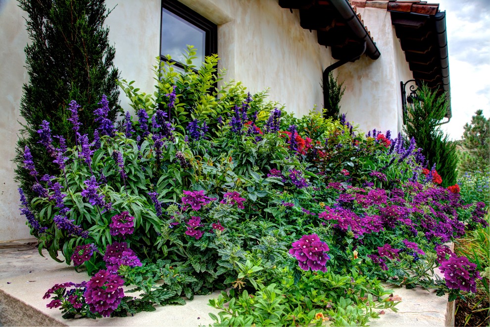 Ispirazione per un grande giardino formale mediterraneo esposto a mezz'ombra nel cortile laterale con un giardino in vaso e ghiaia