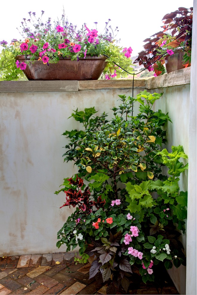На фото: большой регулярный сад на внутреннем дворе в средиземноморском стиле с растениями в контейнерах, полуденной тенью и покрытием из гравия с
