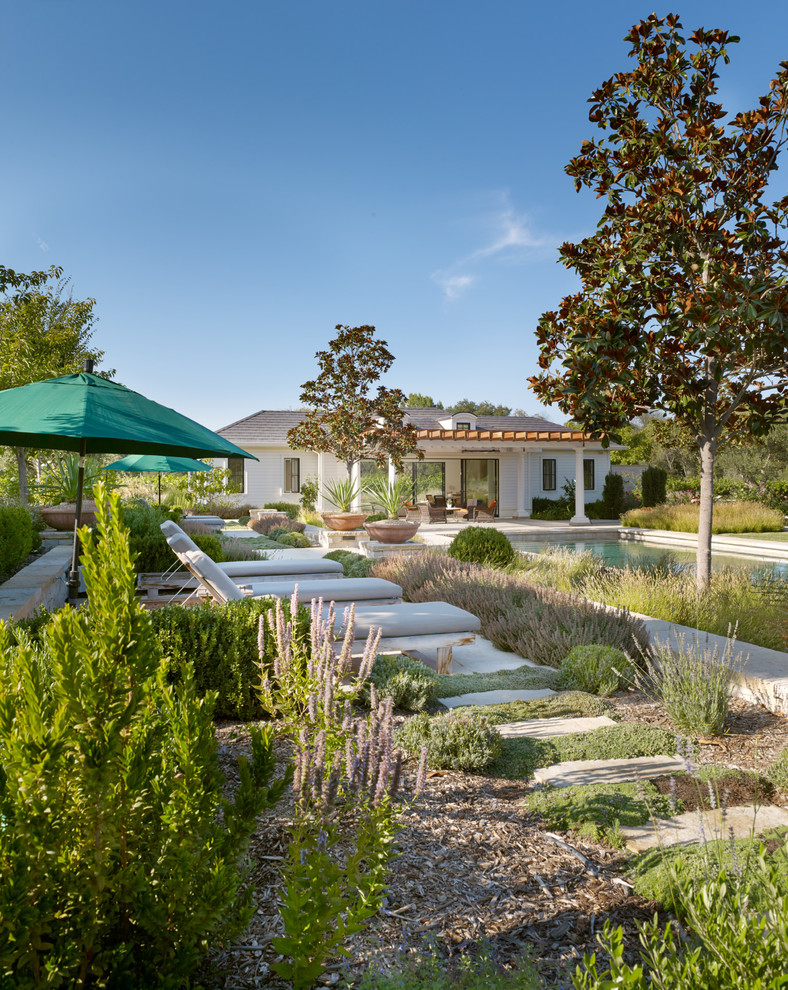 Cette image montre un jardin arrière rustique.