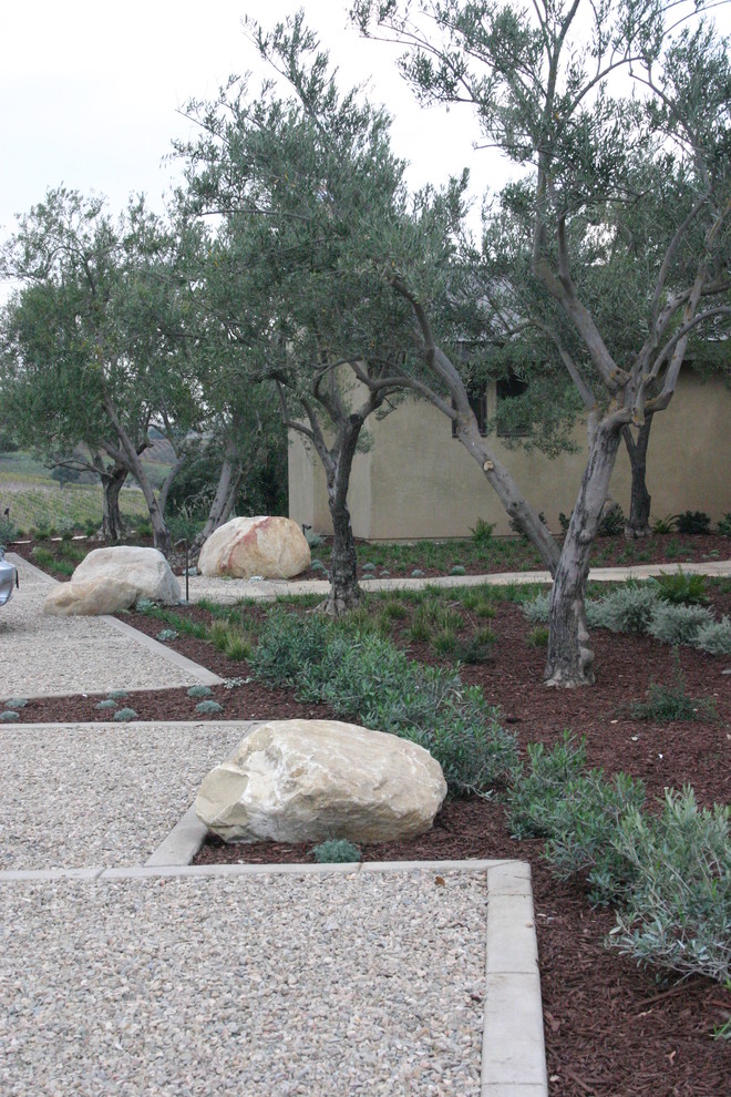 Photo of a contemporary garden in Santa Barbara.