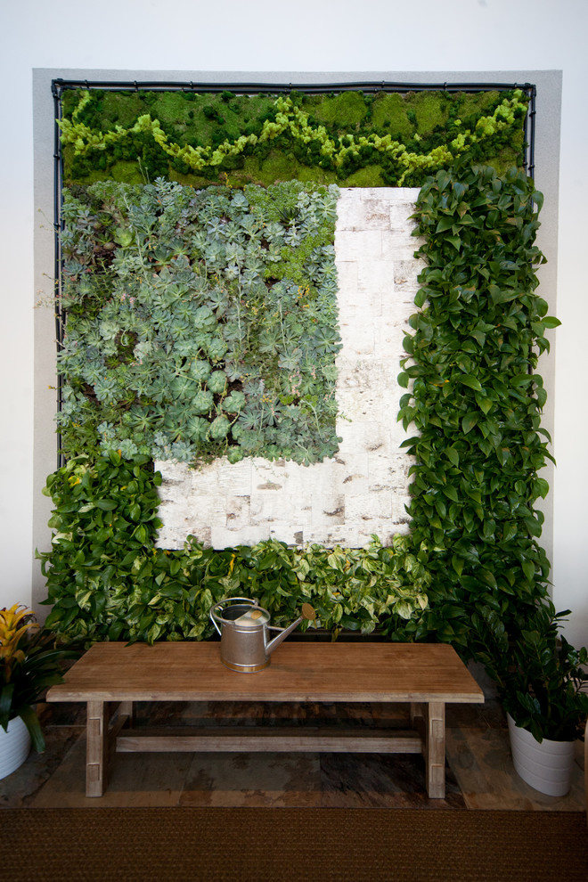 Photo of a contemporary garden in Salt Lake City with a living wall.