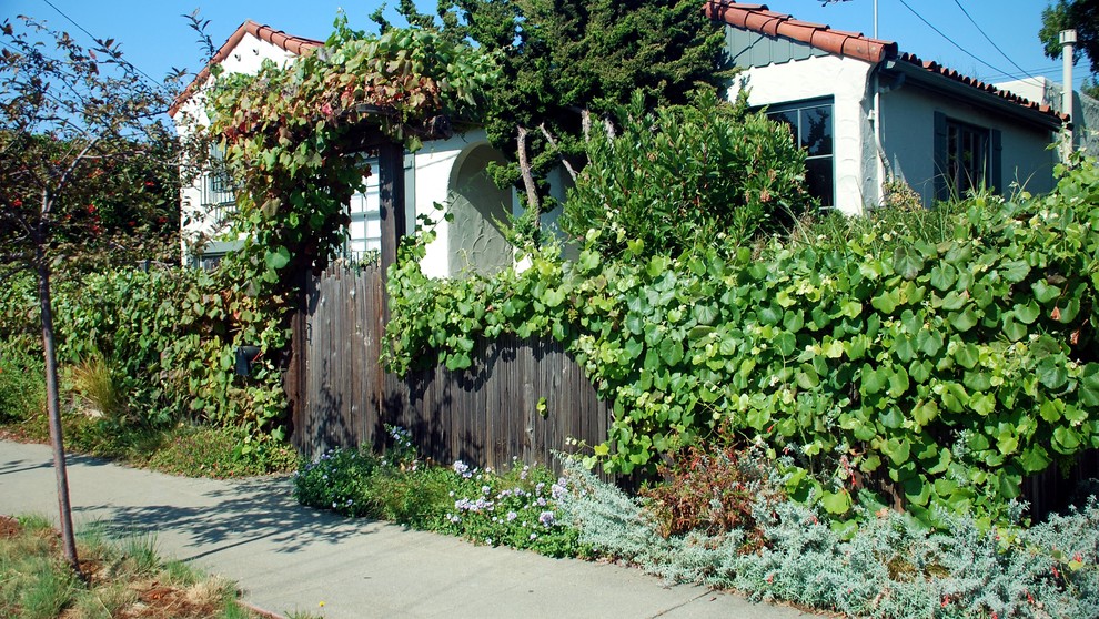 This is an example of a small mediterranean front garden fence in San Francisco.