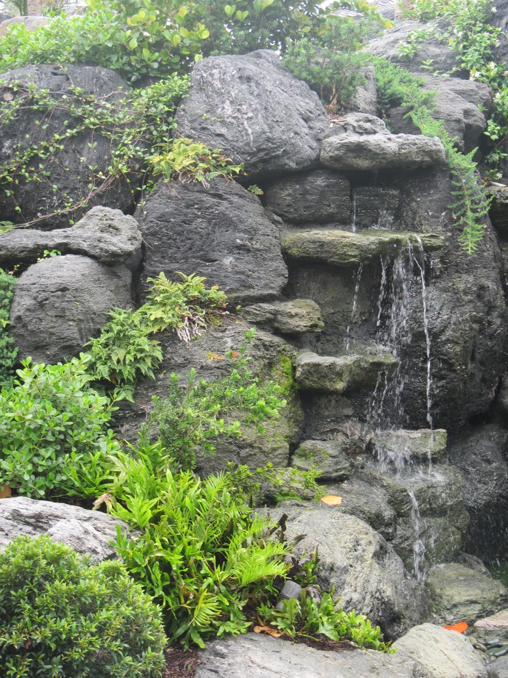Cette photo montre un jardin avant asiatique de taille moyenne avec un point d'eau et des pavés en pierre naturelle.