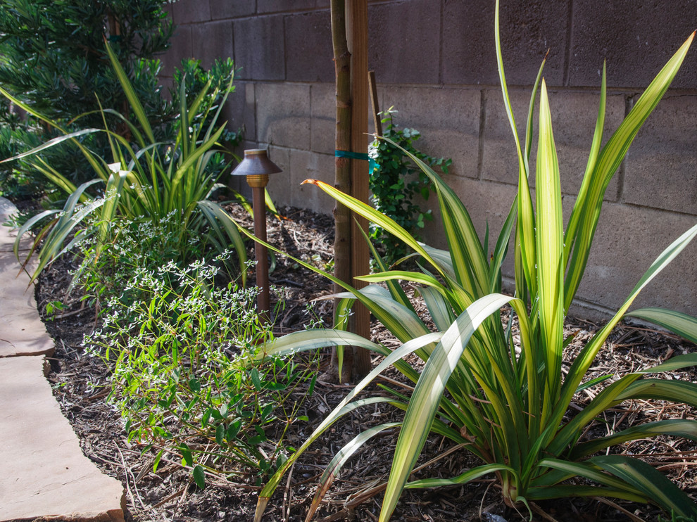 Mittelgroßer, Halbschattiger Klassischer Gartenweg hinter dem Haus mit Natursteinplatten in Los Angeles