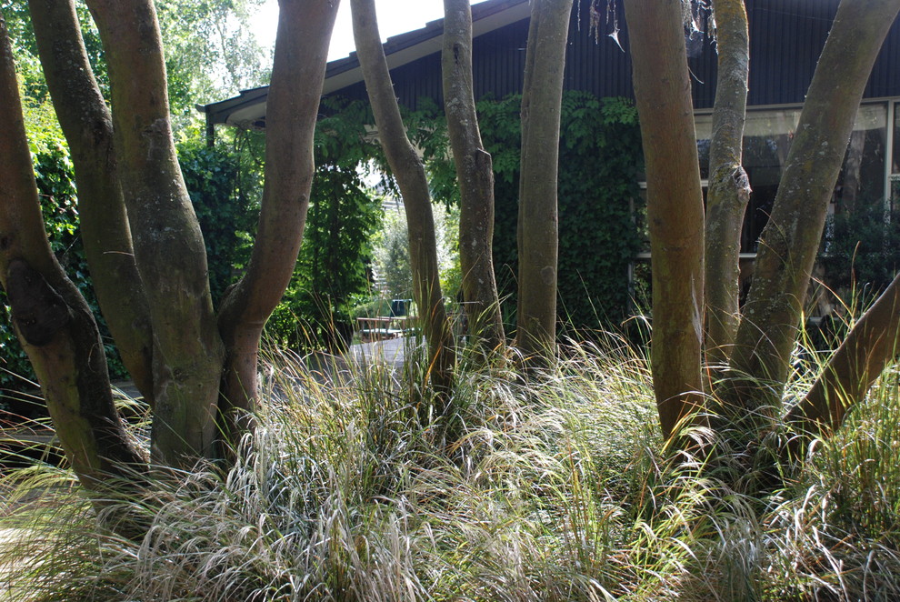 Rustikaler Garten in Wellington