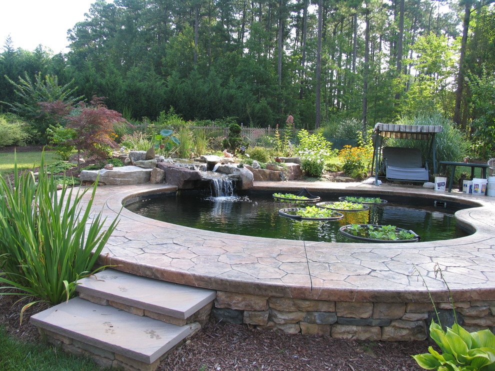Diseño de jardín tradicional de tamaño medio en primavera en patio trasero con fuente y exposición total al sol