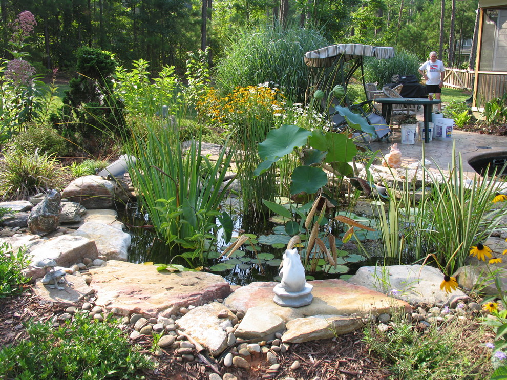 Ejemplo de jardín clásico de tamaño medio en verano en patio trasero con fuente y exposición parcial al sol