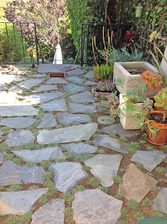 Walkway InstallationFlagstone with Ground Cover Traditional