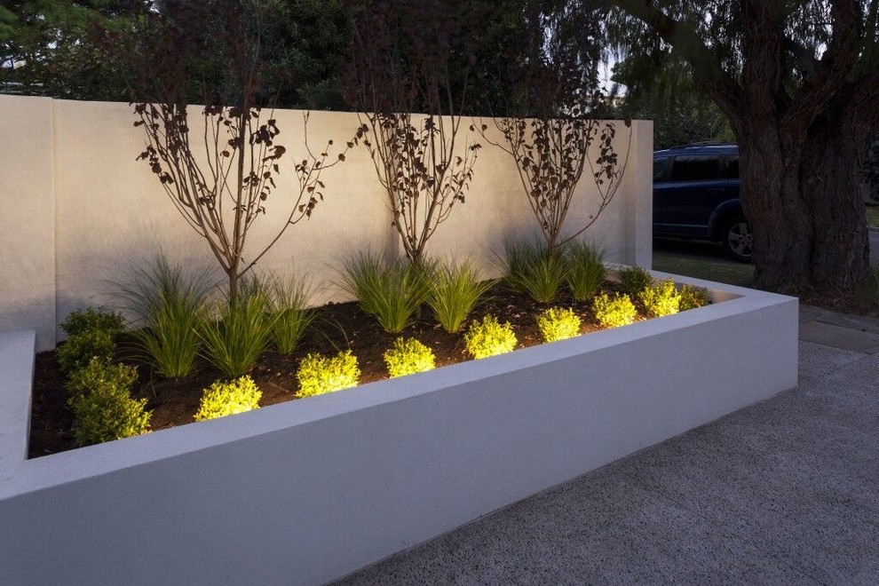Mittelgroßer Moderner Garten mit Betonboden in San Francisco