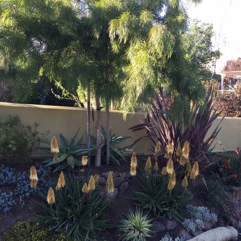 Пример оригинального дизайна: большой солнечный, весенний регулярный сад на склоне в классическом стиле с растениями в контейнерах, хорошей освещенностью и мульчированием