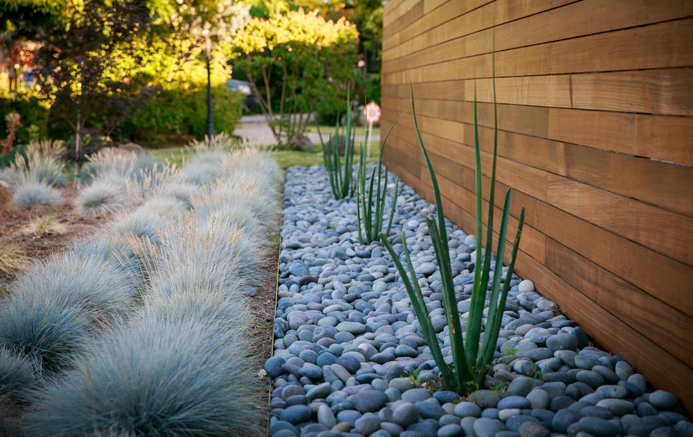Idee per un giardino minimalista davanti casa