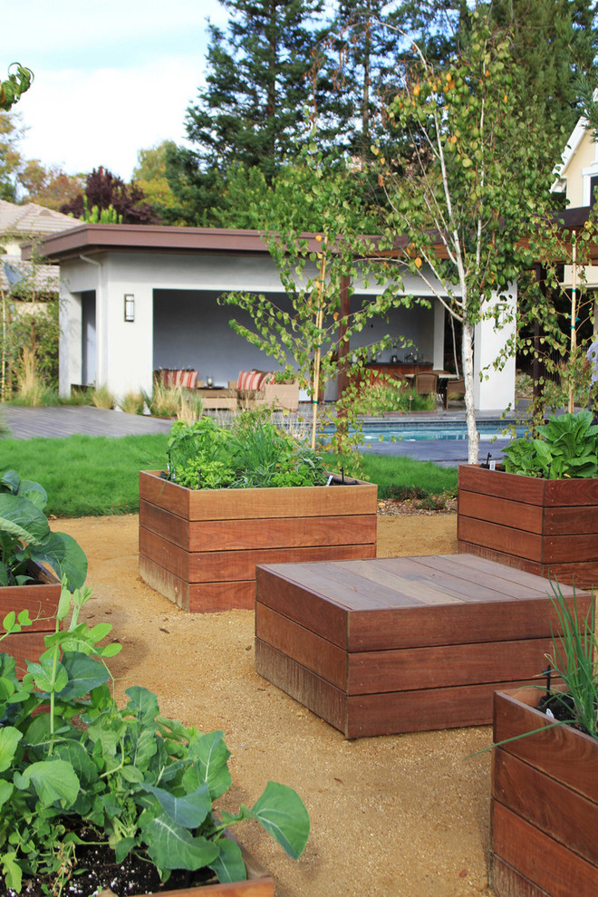 Cette image montre un grand jardin arrière design l'été avec une exposition ensoleillée et une terrasse en bois.
