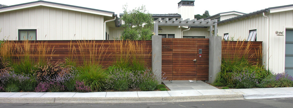 Design ideas for a small modern front full sun garden for autumn in San Francisco with a garden path and mulch.