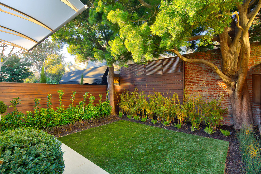Geometrischer, Kleiner Moderner Garten hinter dem Haus mit Kübelpflanzen in San Francisco
