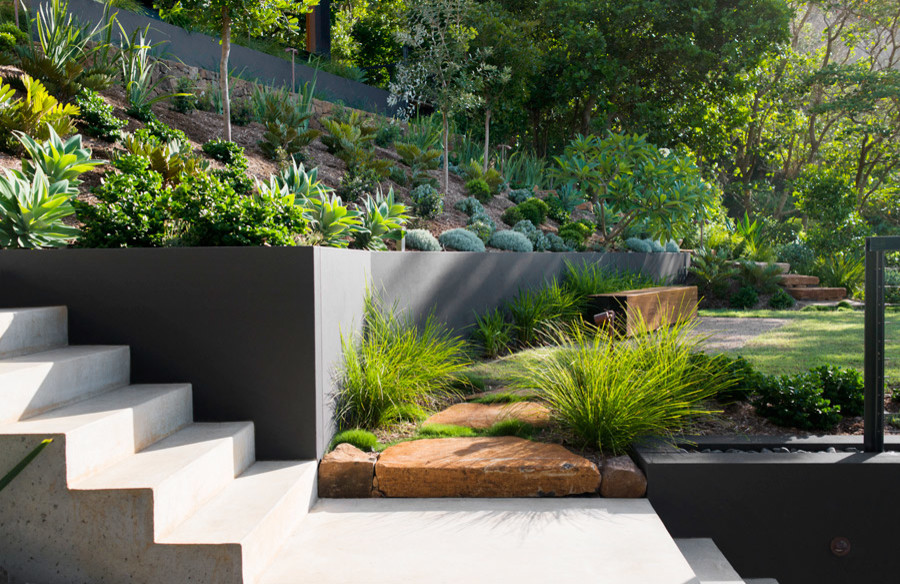 Стильный дизайн: большой регулярный сад на заднем дворе в современном стиле с полуденной тенью - последний тренд