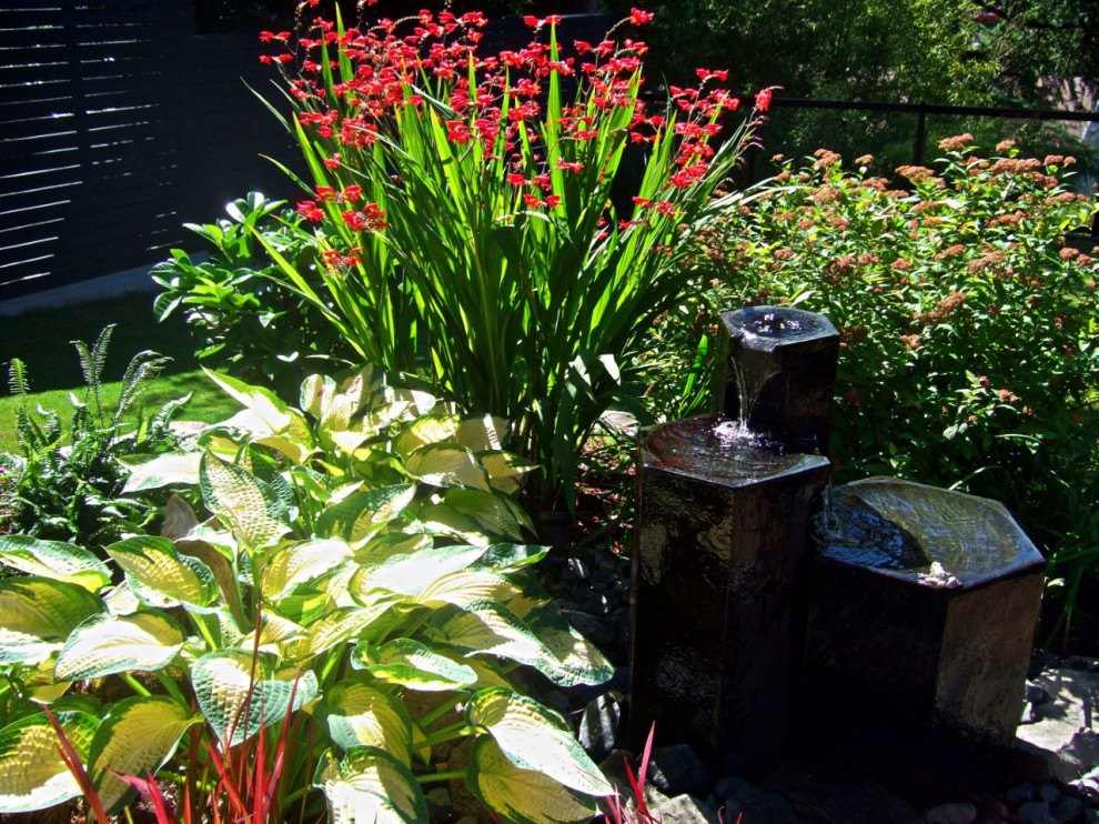バンクーバーにあるラスティックスタイルのおしゃれな庭 (半日向、ウッドフェンス) の写真