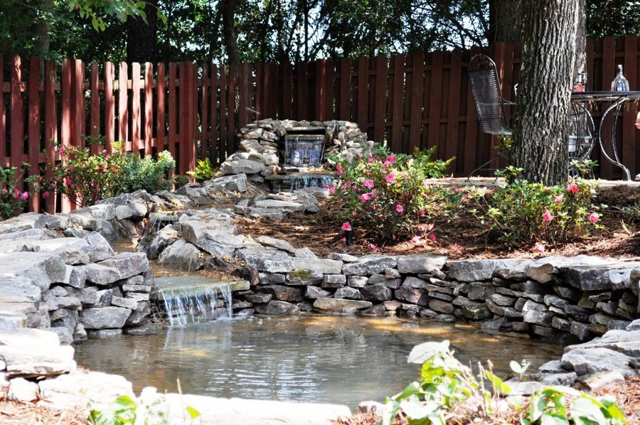 Cette image montre un grand jardin arrière chalet l'été avec un bassin, une exposition partiellement ombragée et un paillis.