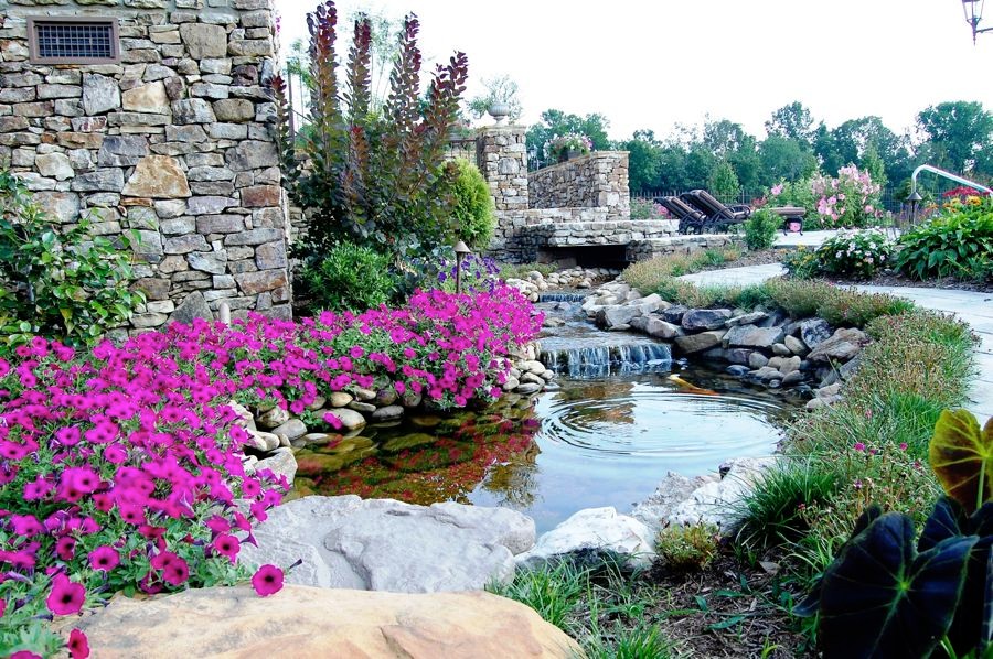 Cette photo montre un grand jardin arrière montagne l'été avec un bassin, une exposition partiellement ombragée et un paillis.