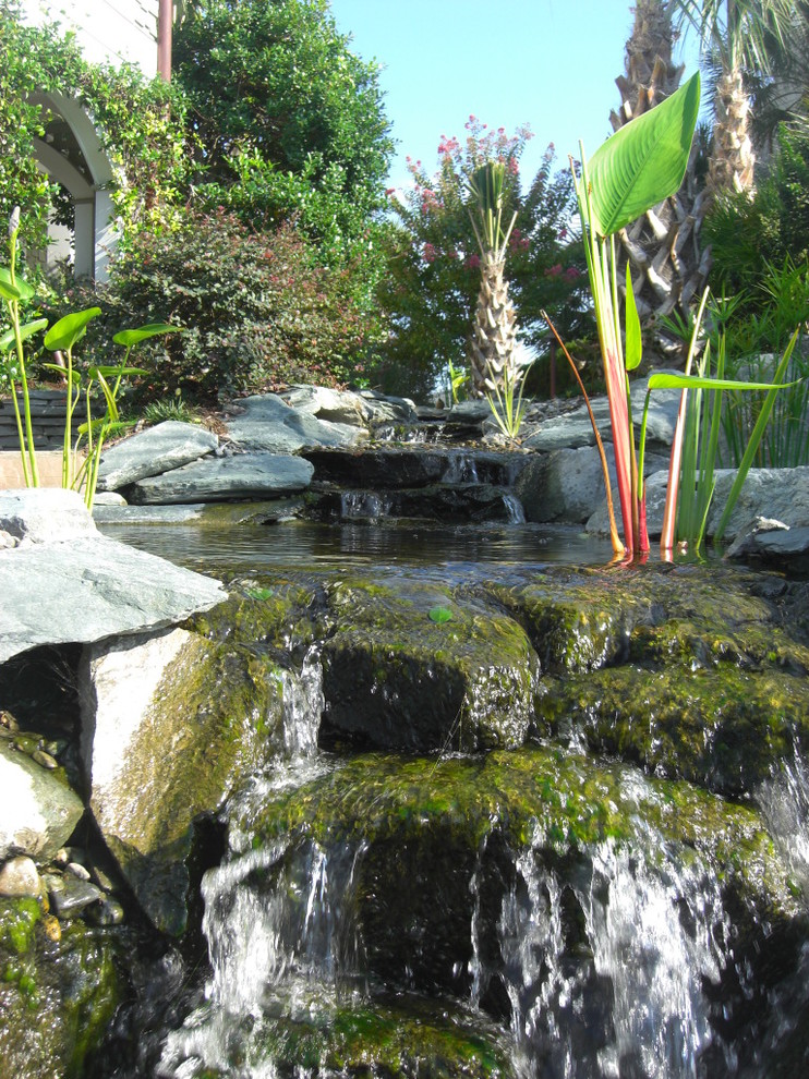 Immagine di un giardino eclettico esposto in pieno sole di medie dimensioni e nel cortile laterale con fontane