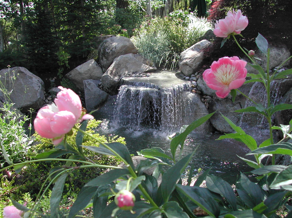 Inspiration för eklektiska trädgårdar, med en fontän