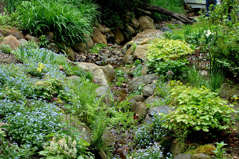 Water Features & Wet Gardens Traditional Landscape New York by