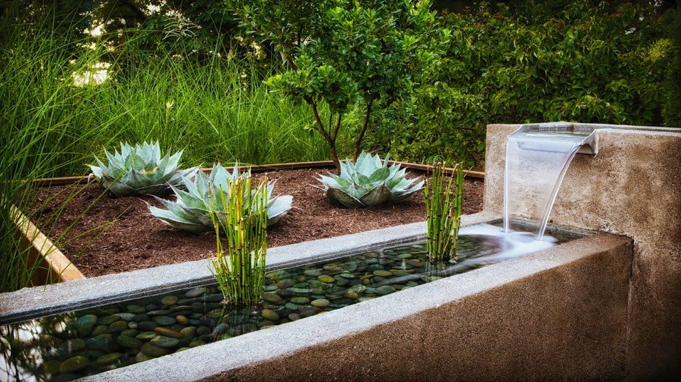 Photo of a large industrial back formal partial sun garden for spring in Portland with a water feature and mulch.
