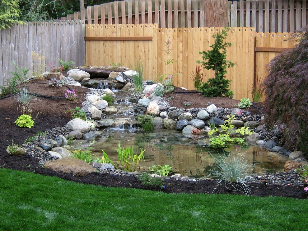 Großer Klassischer Gartenteich hinter dem Haus mit direkter Sonneneinstrahlung und Mulch in Orange County