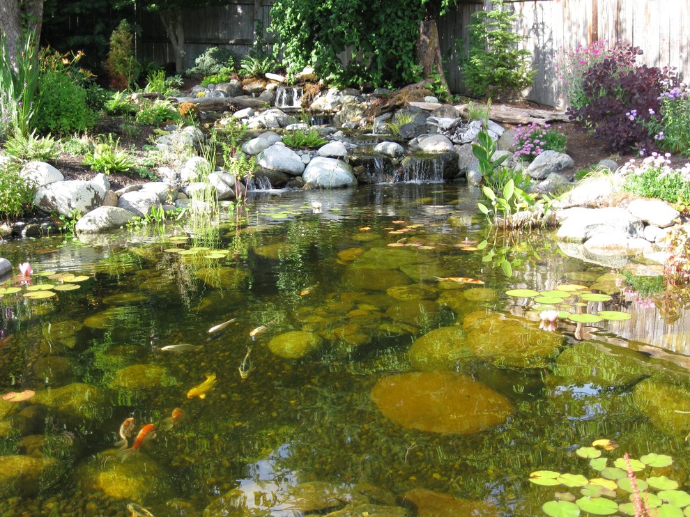 Ispirazione per un grande laghetto da giardino mediterraneo esposto in pieno sole dietro casa con pacciame