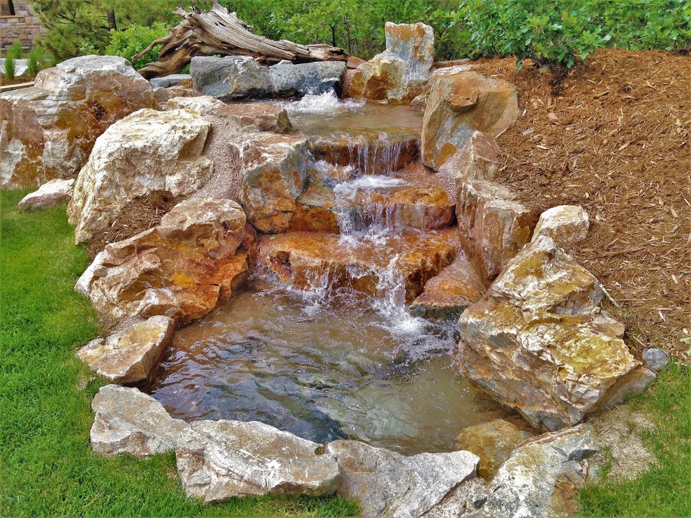 Photo of a medium sized contemporary back garden in Denver with a waterfall.