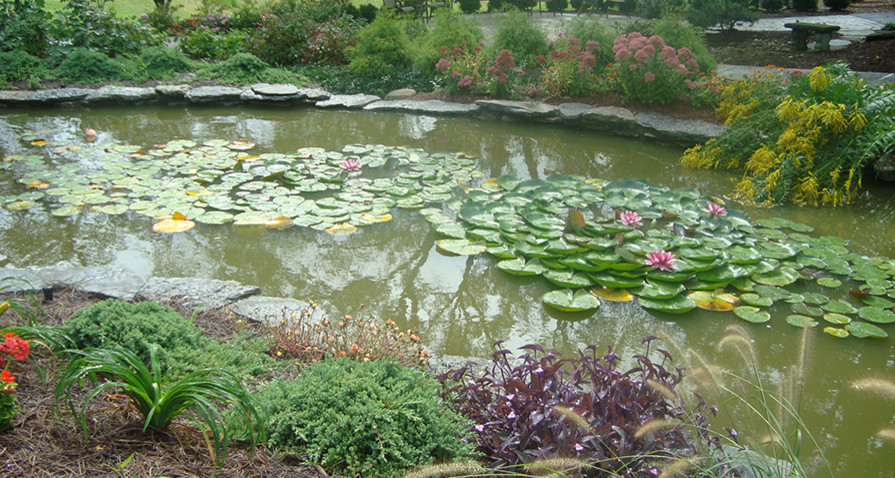 Design ideas for a traditional pond in Cincinnati.