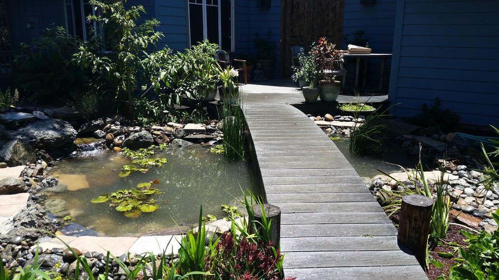 Geometrischer, Mittelgroßer, Halbschattiger Klassischer Gartenteich im Frühling, hinter dem Haus mit Natursteinplatten in San Luis Obispo