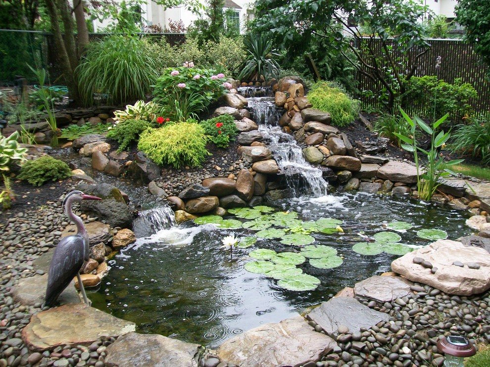 Diseño de jardín exótico grande en patio trasero con estanque y exposición parcial al sol