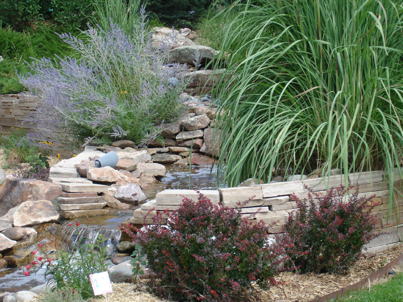 Mittelgroßer Uriger Garten im Sommer, hinter dem Haus mit Wasserspiel, direkter Sonneneinstrahlung und Natursteinplatten in Denver