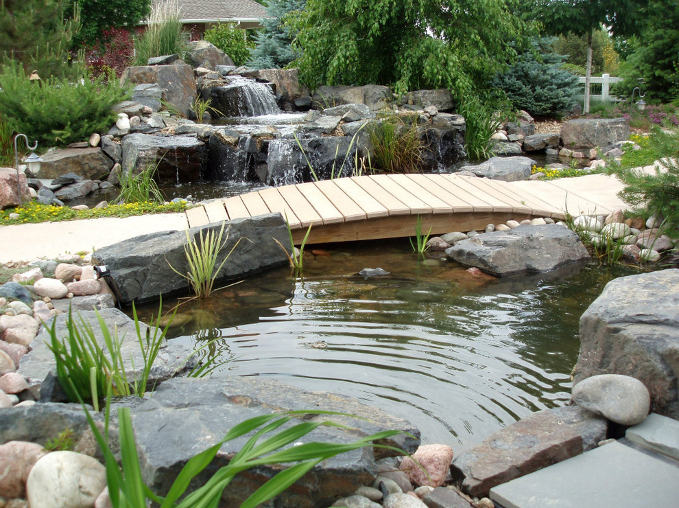 Photo of a large classic back full sun garden for spring in Denver with a pond and decking.