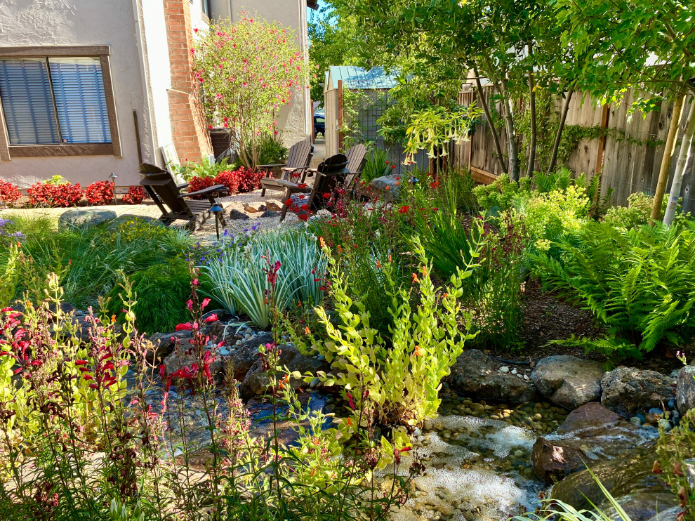Inspiration for a mid-sized transitional backyard waterfall in San Francisco.