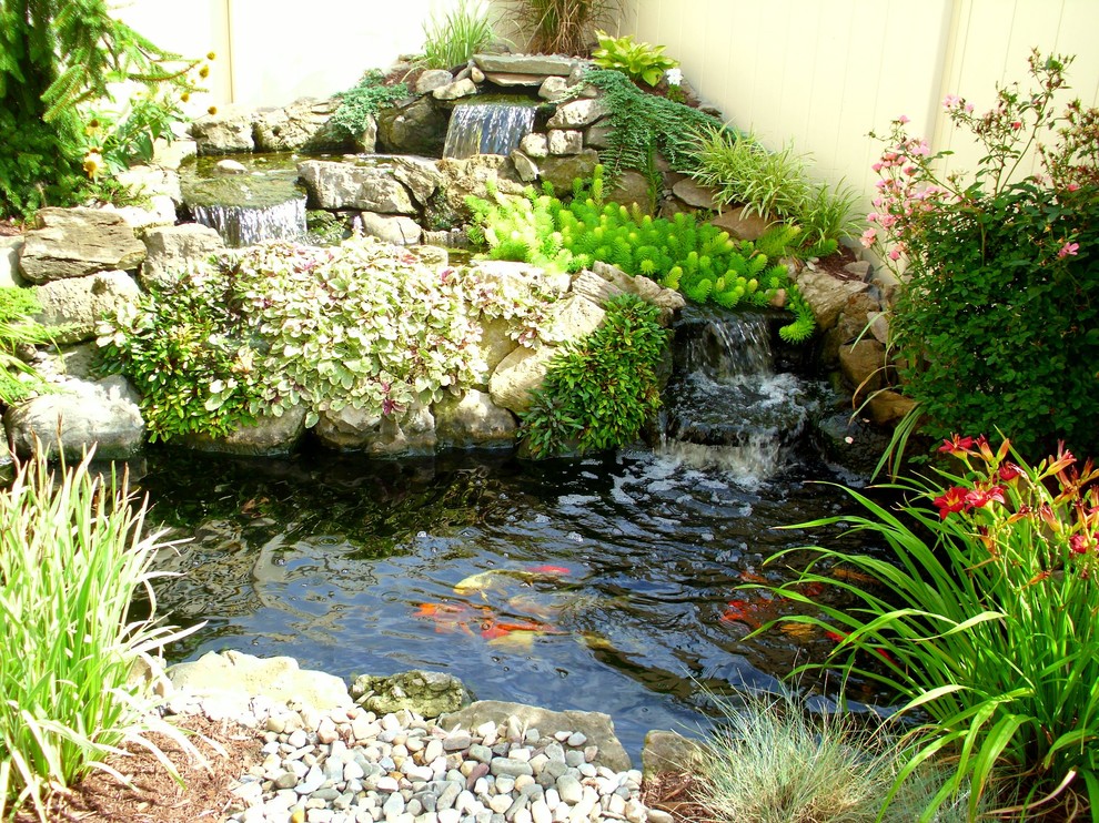 Réalisation d'un jardin arrière tradition de taille moyenne avec un bassin et une exposition ensoleillée.