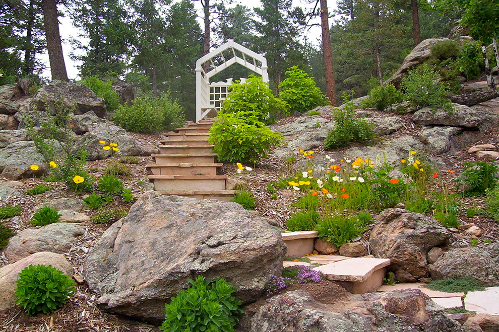 Photo of a traditional back garden in Denver.