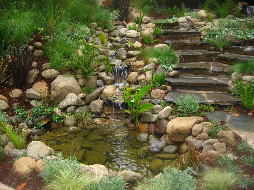 Immagine di un giardino contemporaneo con una cascata e passi giapponesi