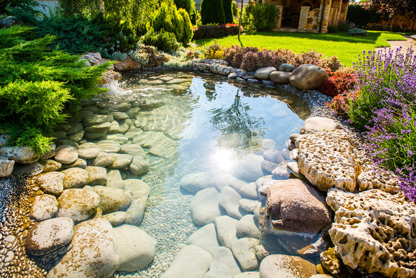 Immagine di un laghetto da giardino classico esposto in pieno sole di medie dimensioni e dietro casa