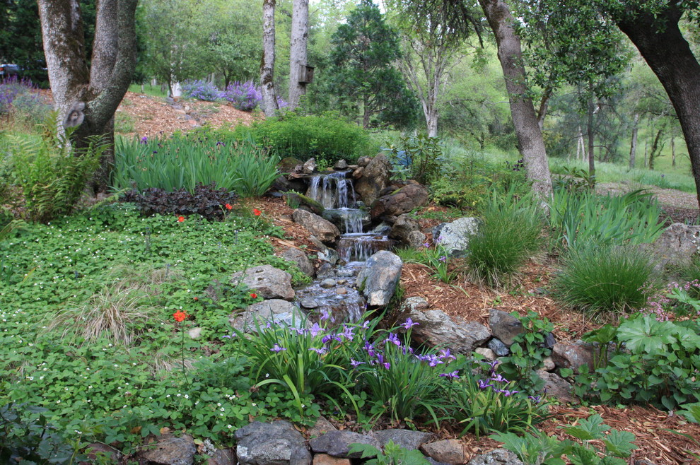 Пример оригинального дизайна: большой весенний участок и сад на склоне в стиле рустика с полуденной тенью и мульчированием