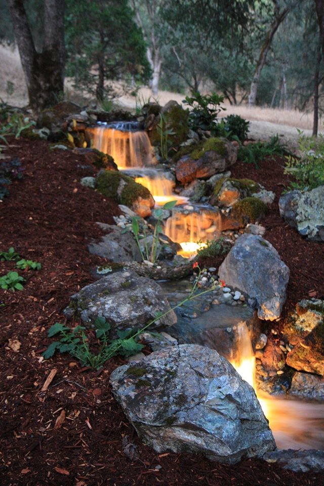 Inspiration för en mellanstor rustik trädgård i skuggan i slänt på våren, med en fontän