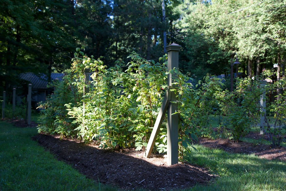 Foto di un orto in giardino classico dietro casa