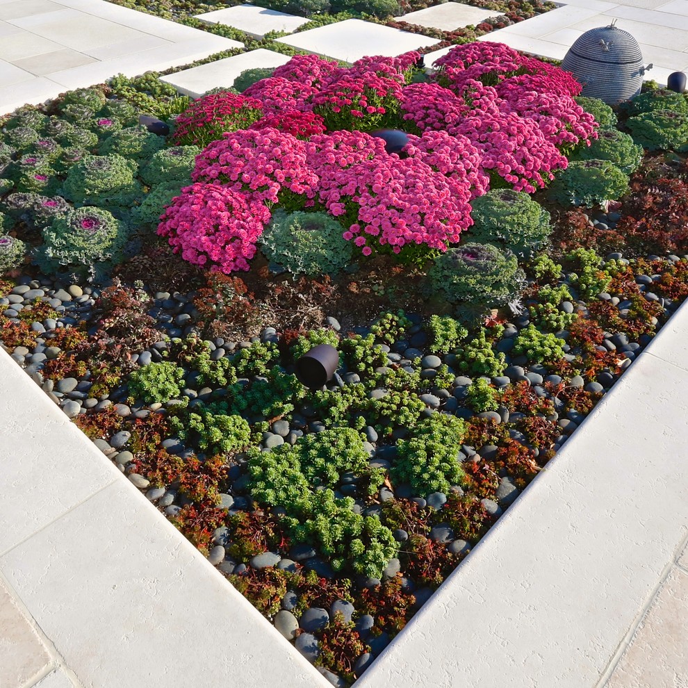 Immagine di un grande giardino xeriscape design esposto in pieno sole dietro casa con pavimentazioni in cemento
