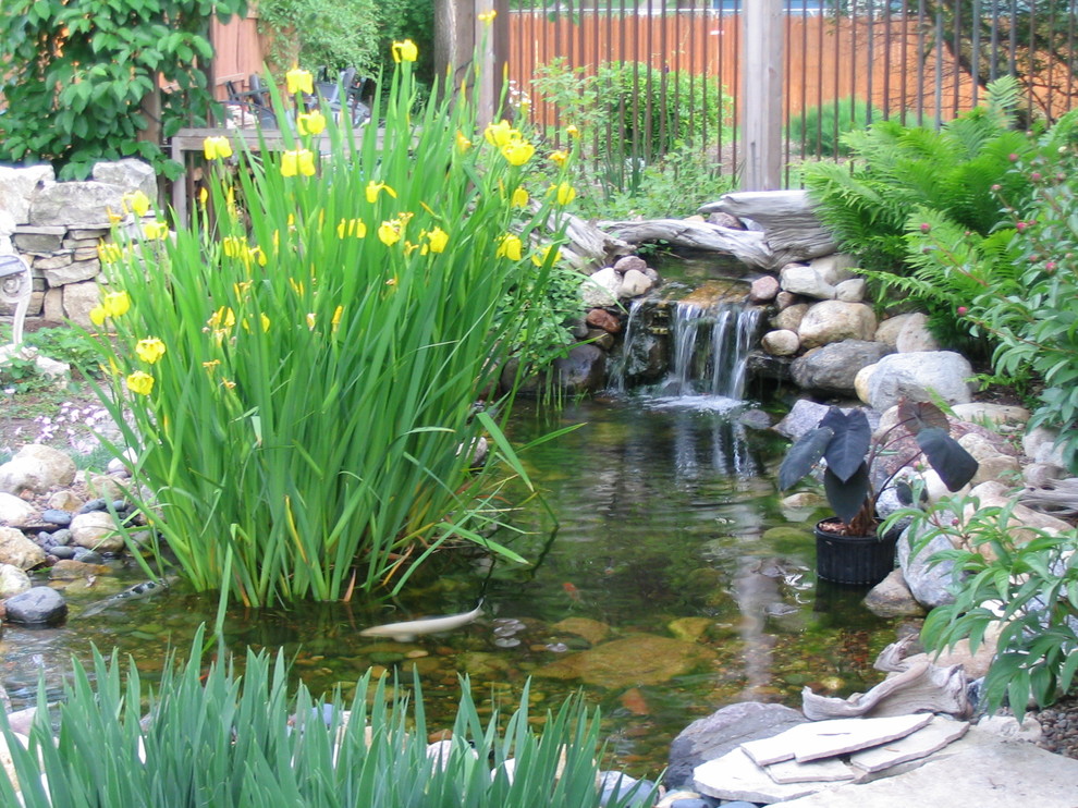 На фото: летний садовый фонтан среднего размера на заднем дворе в стиле фьюжн с полуденной тенью и покрытием из гравия с