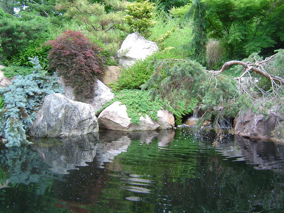 Réalisation d'un jardin arrière asiatique de taille moyenne avec un point d'eau et des pavés en pierre naturelle.