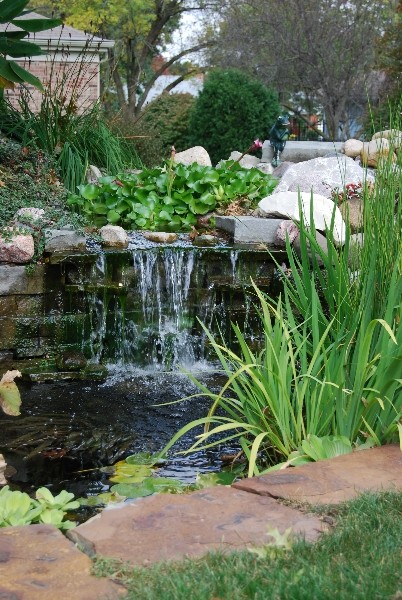 Aménagement d'un jardin arrière classique de taille moyenne et l'été avec un point d'eau et une exposition partiellement ombragée.
